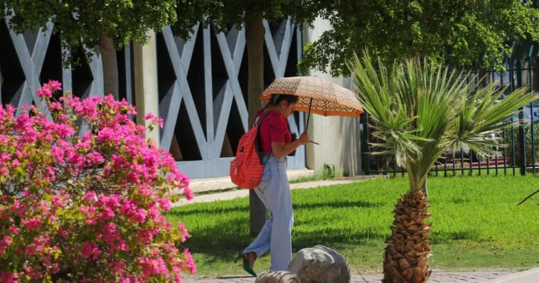 Habrá máxima de 43 grados centígrados para esta semana.