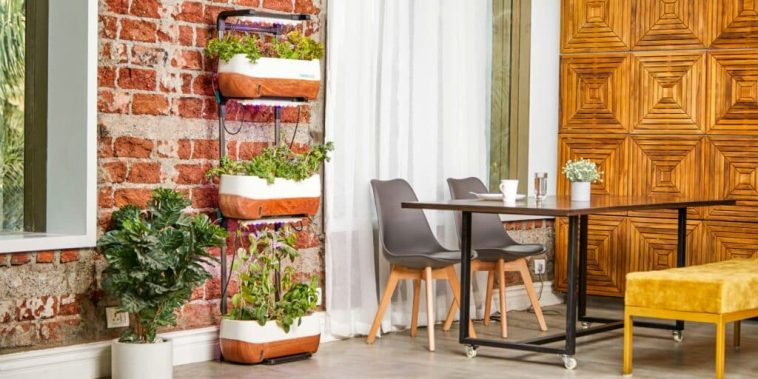 5 Innovative Ways Grow Vegetables Indoors Garden