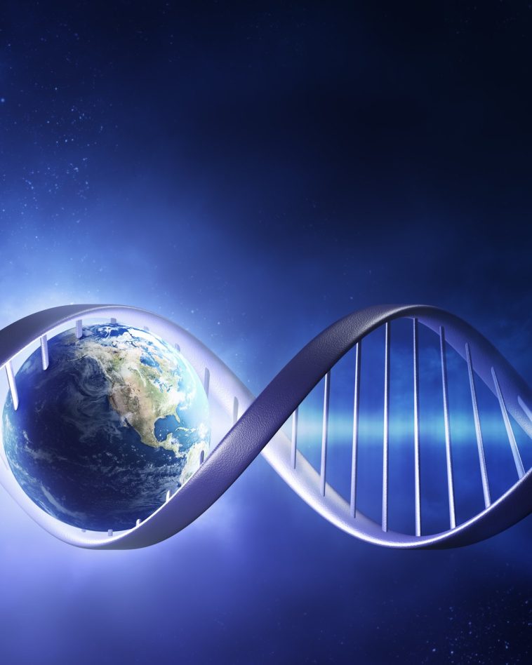 Desvendando Luca: o ancestral comum que conecta toda a vida na Terra