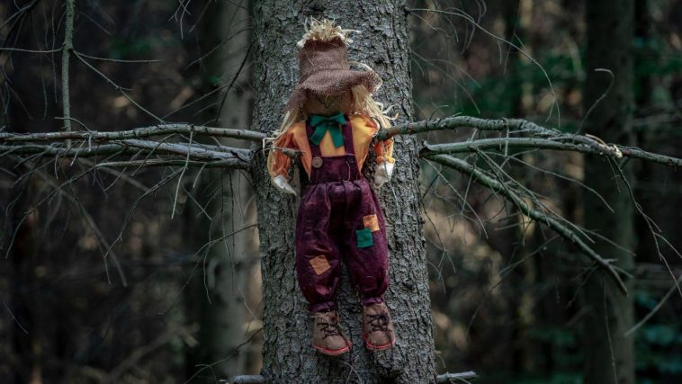 Un muñeco clavado en el árbol un bosque