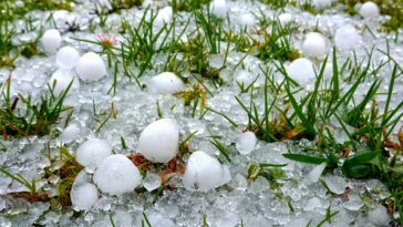 Por que (e como) algumas pedras de granizo ficam tão grandes?