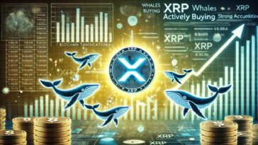 XRP Whales Loading Up – Data Reveals Buying Activity