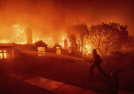 Colombianos en Estados Unidos relatan cómo se viven los históricos incendios en Los Ángeles: 'Estamos viviendo una tragedia absoluta'