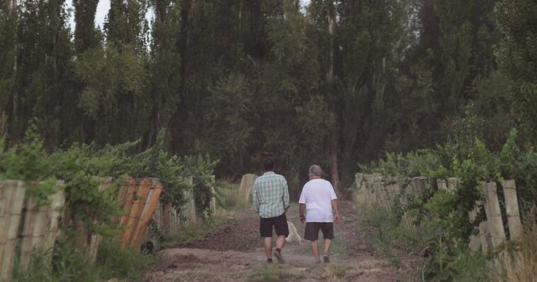 Las bodegas de Río Negro apuntan a la calidad y al enoturismo para dar un nuevo paso en su evolución